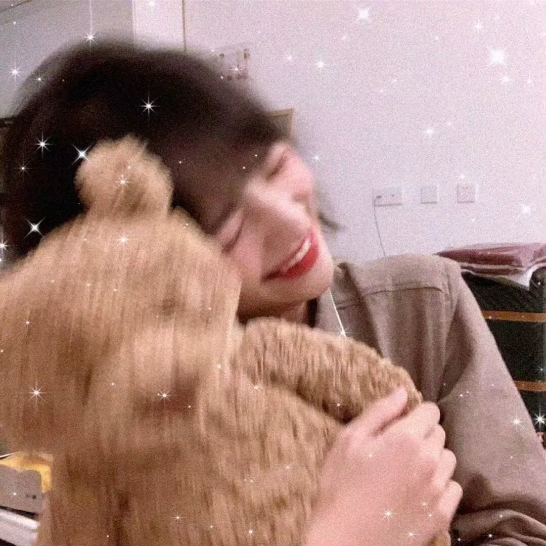 丛林有情狼5:家庭度假